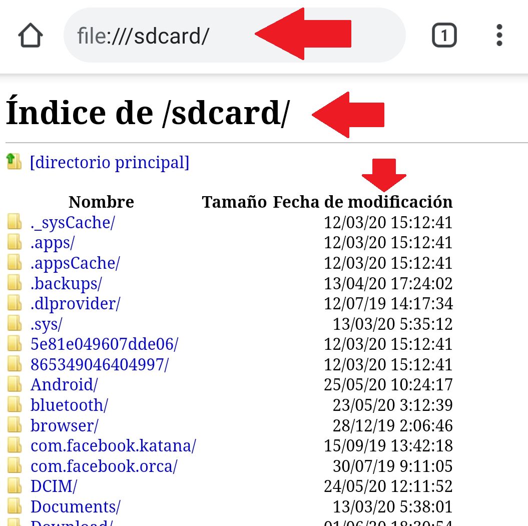 ingresar al file:///sdcard/ desde google Chrome en android